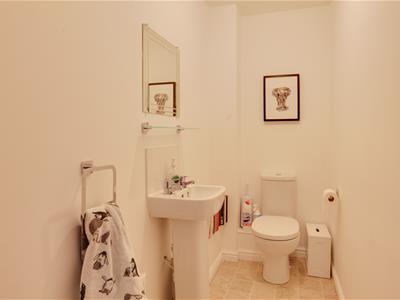 Picture 5